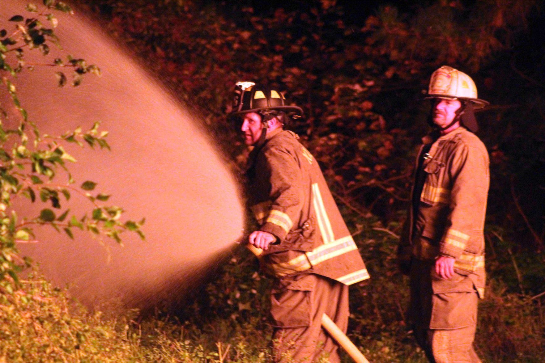 Firefighters spray down plants
